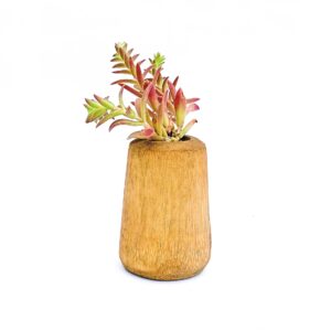 Bamboo Planter with Succulent Red Pagoda