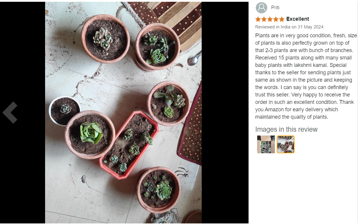 amazon reviews