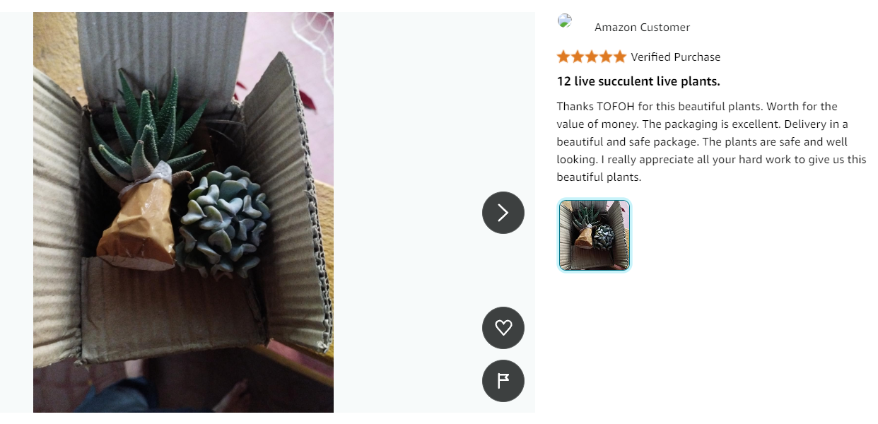 review 04