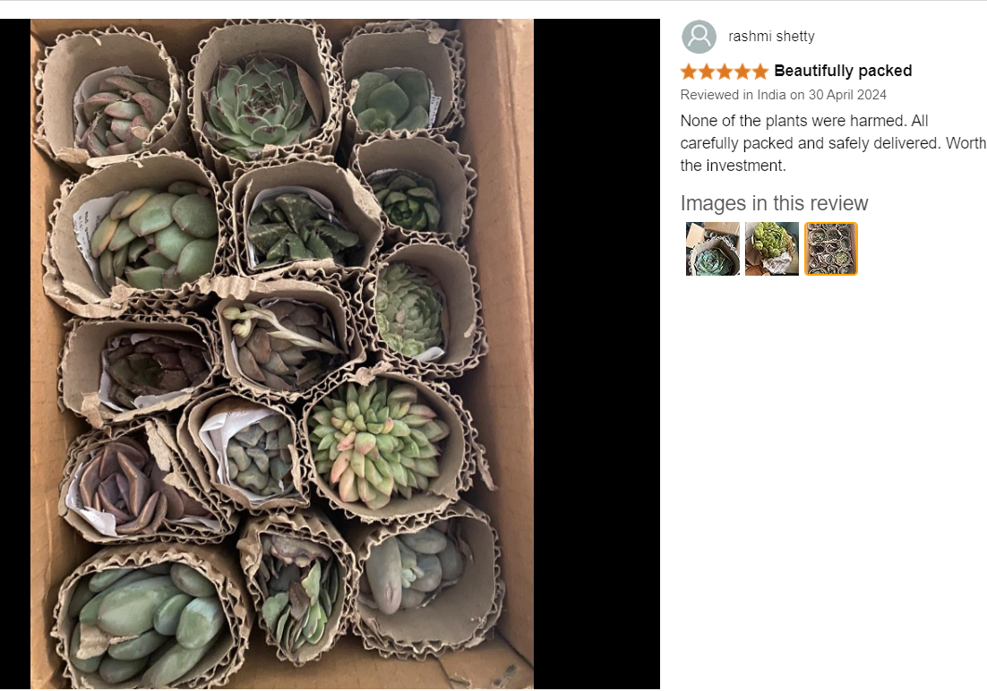 reviews 03